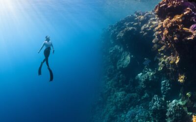 Spennende undervannsfotografering